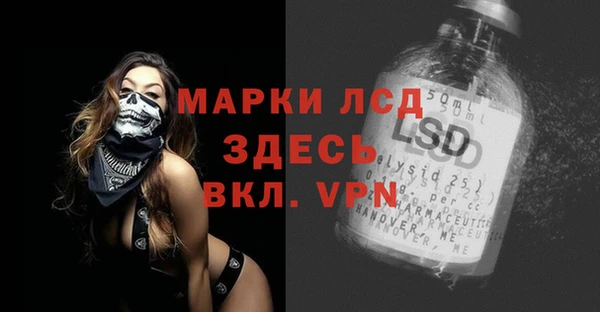 сатива Аша