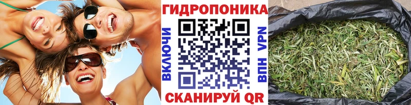 Купить закладки  Куртамыш  Марихуана тримм 